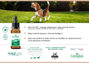 conseils huile CBD chien canidiol