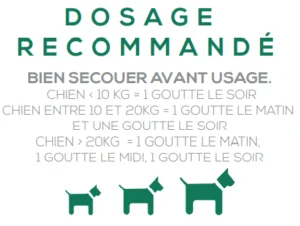 Huile de CBD pour chiens : CBD pour chiens stressés - Compléments  alimentaire pour chien : Morin France